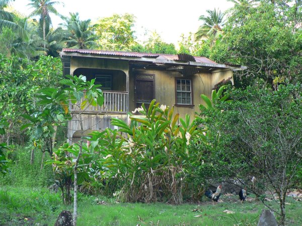 49- Vieille maison abandonnee a Hanaiapa 